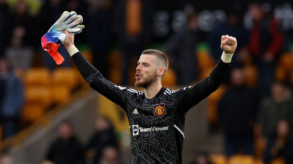 David de Gea Manchester United