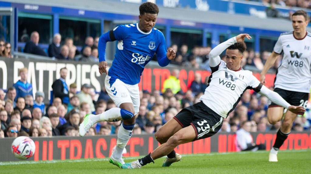 Demarai Gray Everton Antonee Robinson Fulham